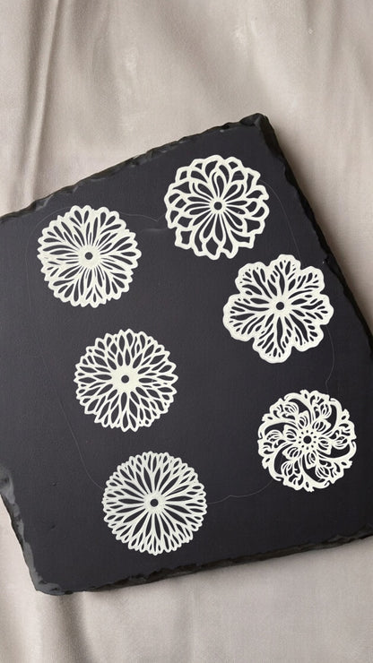 Flora Bloom 6'lı Çiçek Bardak Altlığı Seti | Dantel Tasarım
